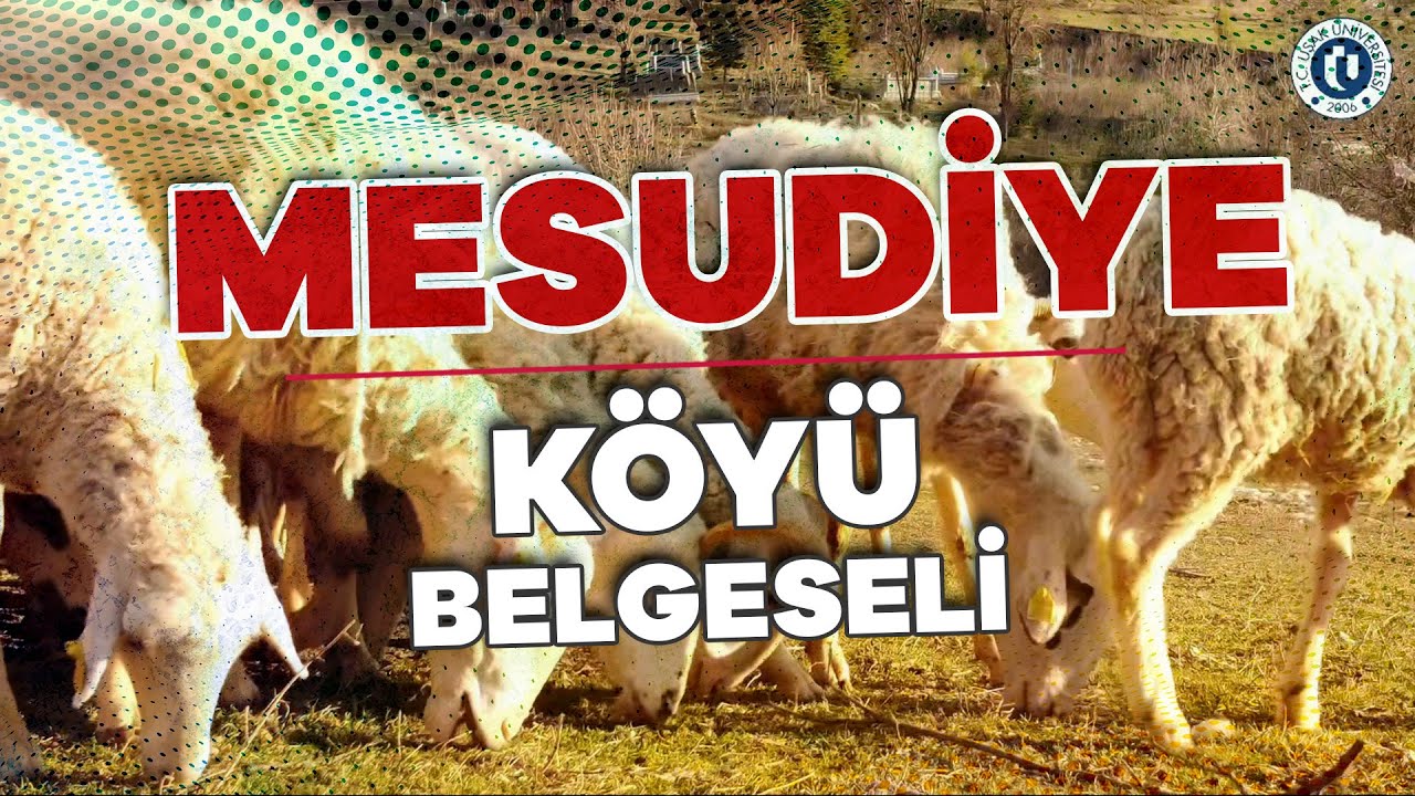 MESUDİYE KÖYÜ BELGESELİ