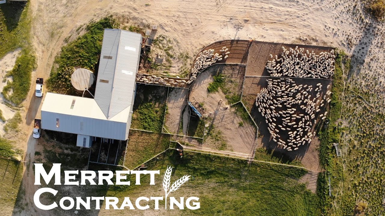 Getting Ready For Shearing! | Australian Farm
