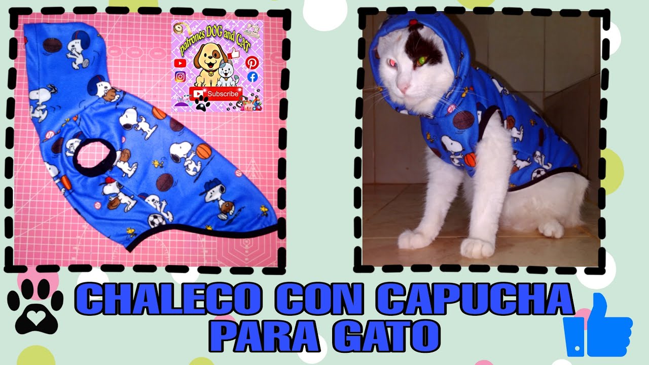 CHALECO CON CAPUCHA PARA GATO - moldes gratis