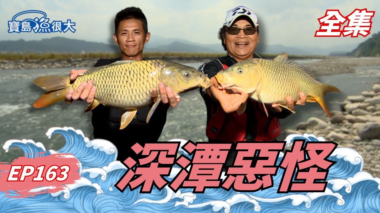 戰神回歸大甲溪！三種夢幻魚這裡都釣得到！| 寶島漁很大 | 全集