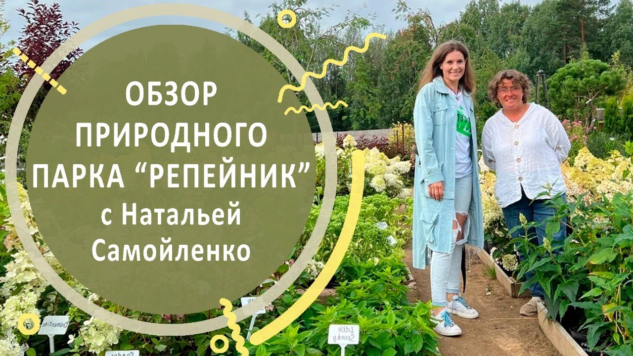Обзор природного парка 