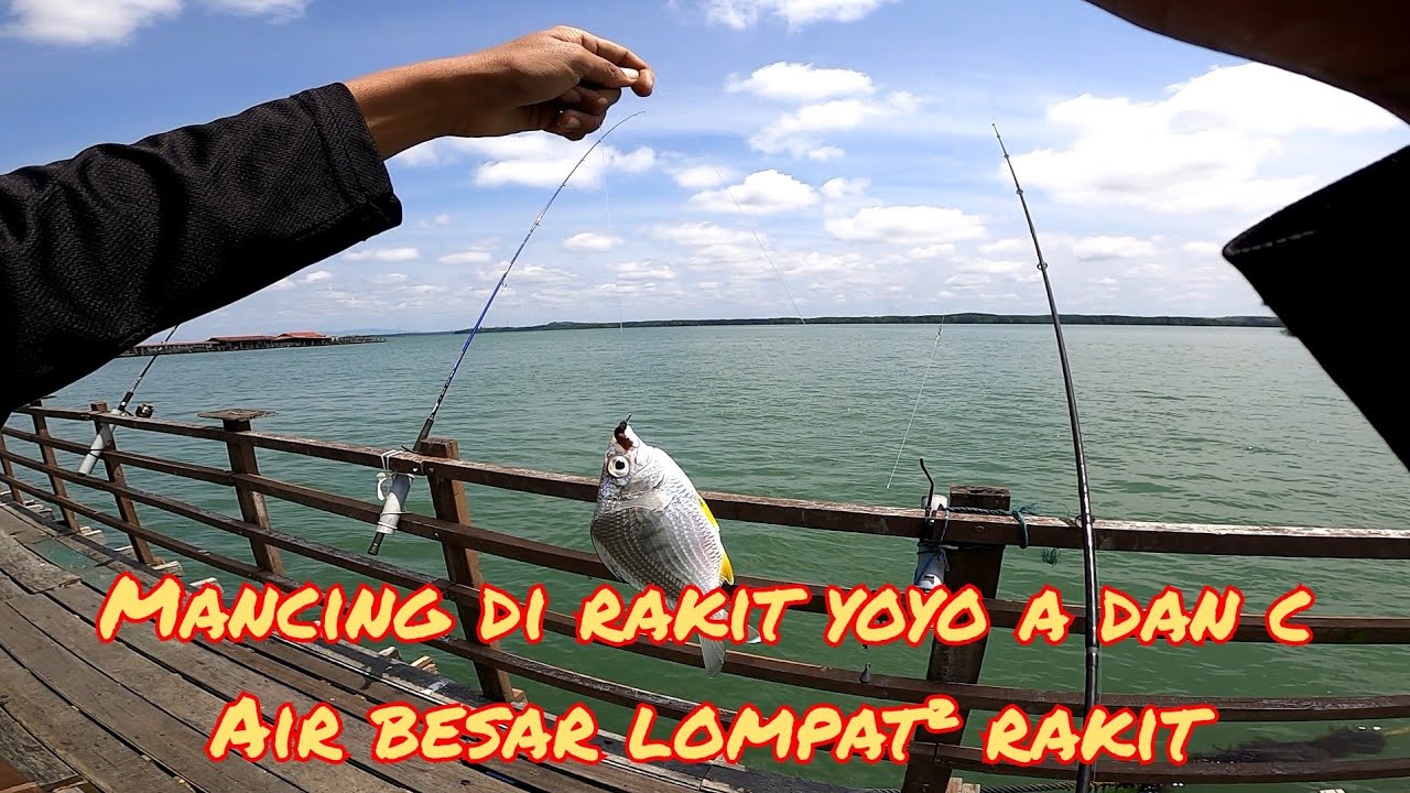 MANCING DI RAKIT YOYO SUNGAI LAYANG|PINDAH RANDAH RAKIT AKU KALI NI