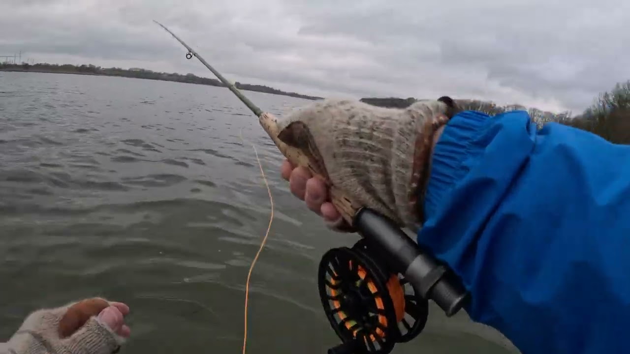 The golden Sunday!! Endelig fisk...På jagt efter sølvtøj på Als. Del 3 af 3