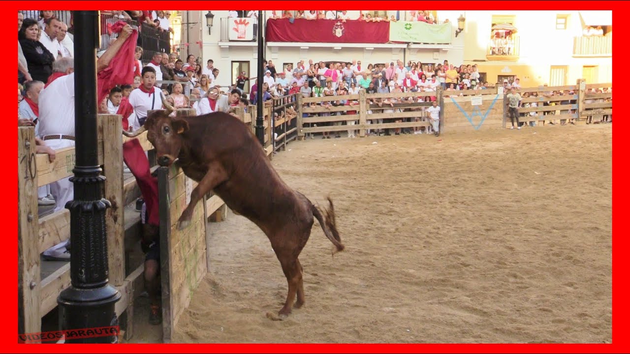 ABLITAS ( NAVARRA ) TARDE VACAS PLAZA ( MIERCOLES 30 AGOSTO 2023 ) GANAD.ARRIAZU