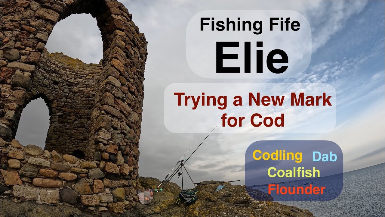 Sea Fishing Scotland - Elie, East Neuk of Fife - Nice Mix of Species while Cod Fishing