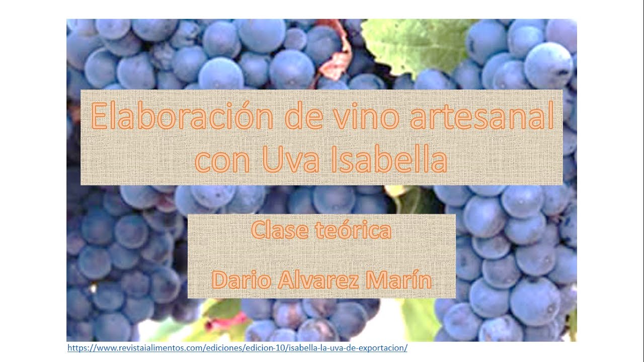 Elaboración de vino artesanal con Uva Isabella (Teórico)