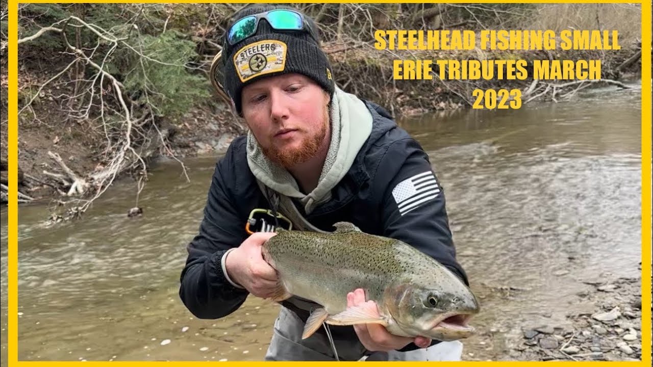 Steelhead Fishing small Trib, Erie PA, Feb 2023
