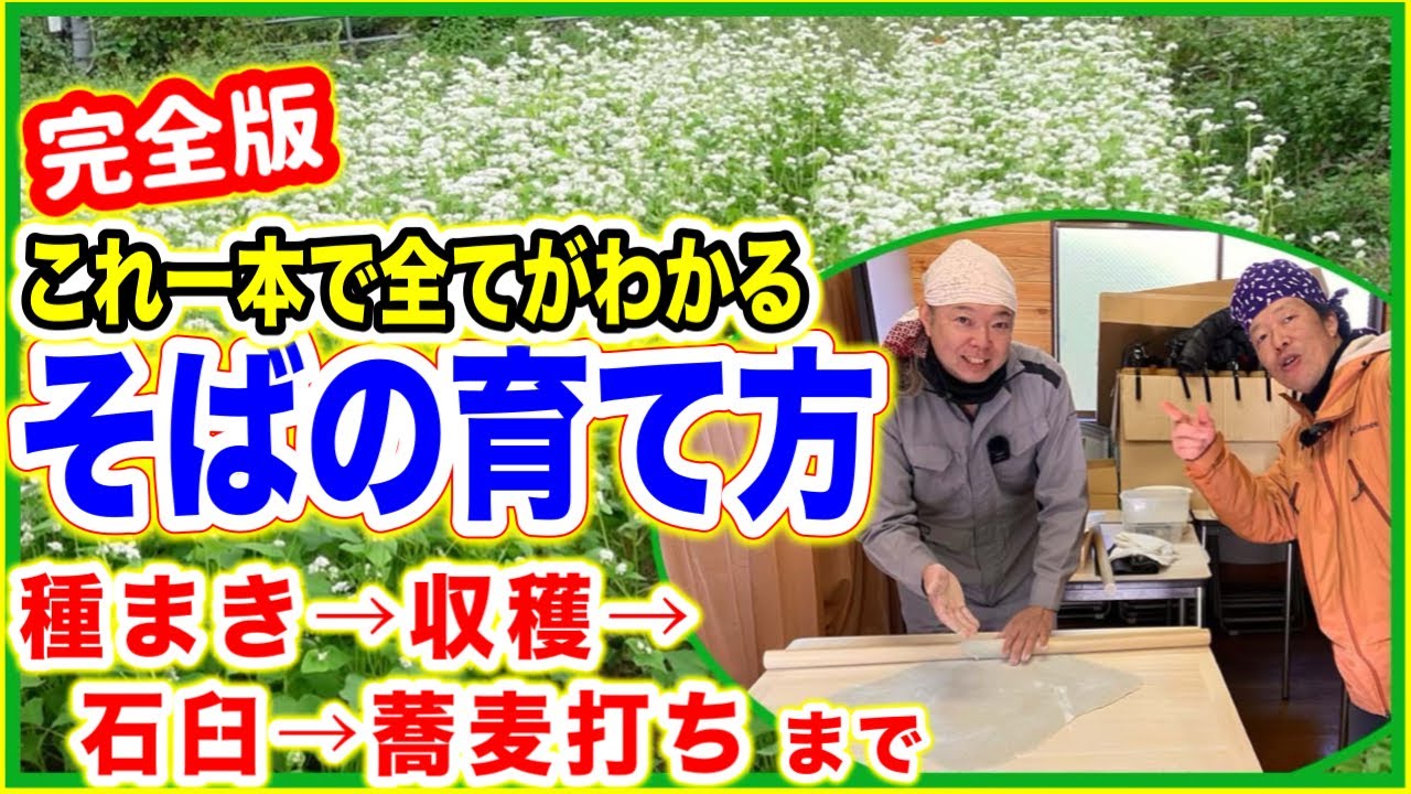 【自家製100％の「手打ち蕎麦」が出来るまで】種まき、収穫、脱粒、石臼で製粉、蕎麦打ち、まで一挙紹介！！　～みどりふぉLABO そばの庭～