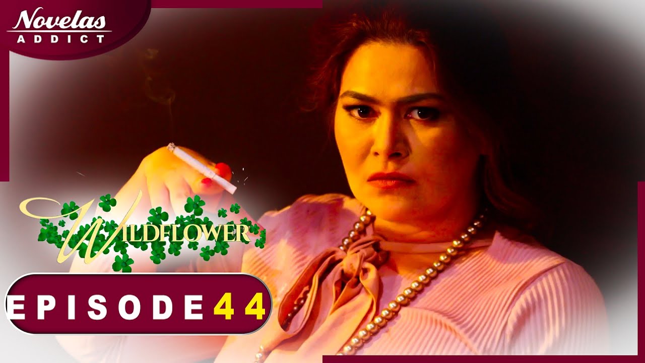 FLEUR SAUVAGE - Episode 44 - Novelas Complete en Francais