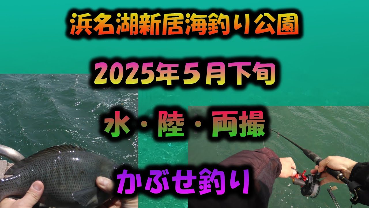 【浜名湖　釣り】水中映像　2025年5月下旬　浜名湖・新居海釣り公園　かぶせ釣り
