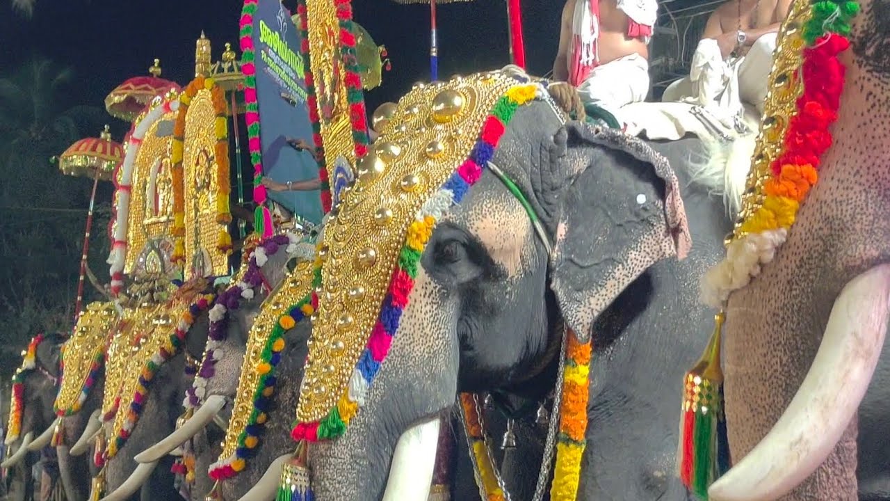 Utsavam # ഉത്സവം, ആന പൂരം, ശ്രീ പിശാരിക്കൽ കോവിൽ പാലക്കാട്‌ വാണിയംകുളം 