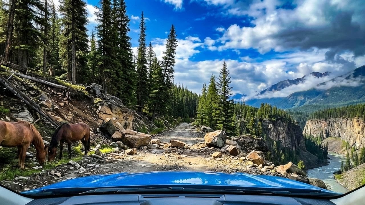Off-Road Scenic Drive Through the Wild Forests of Greece 🇬🇷