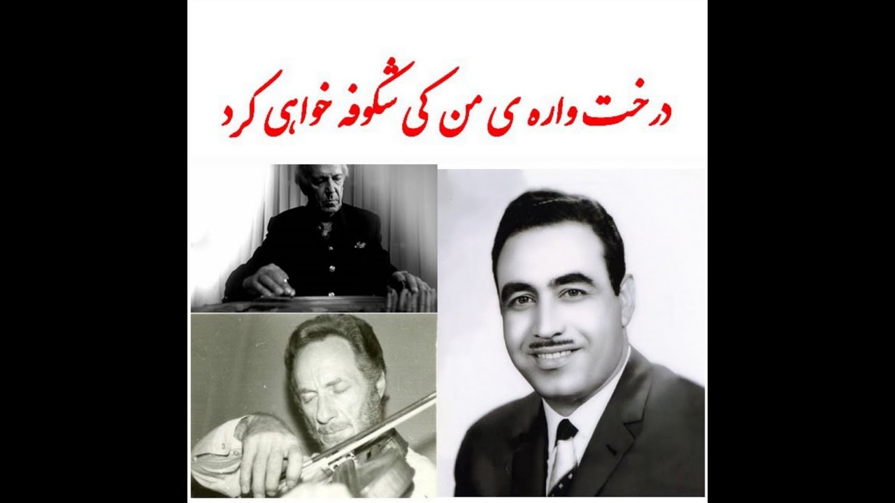 درخت واره ی من ، کی شکوفه خواهی کرد♪✅#استاد_ایرج_کبیر - استاد مجتبي ميرزاده/دستگاه سه گاه