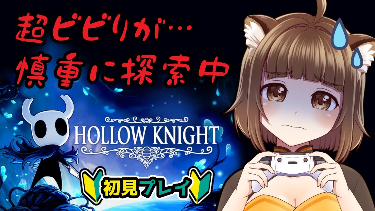【Hollow Knight ・Part14 】超ビビり、慎重に探索する【#初見プレイ】#PONぽこたぬぬ