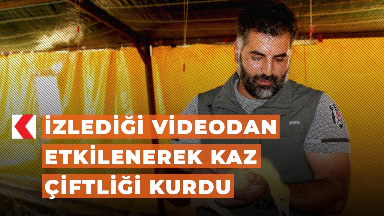 ​İzlediği videodan etkilenerek kaz çiftliği kurdu