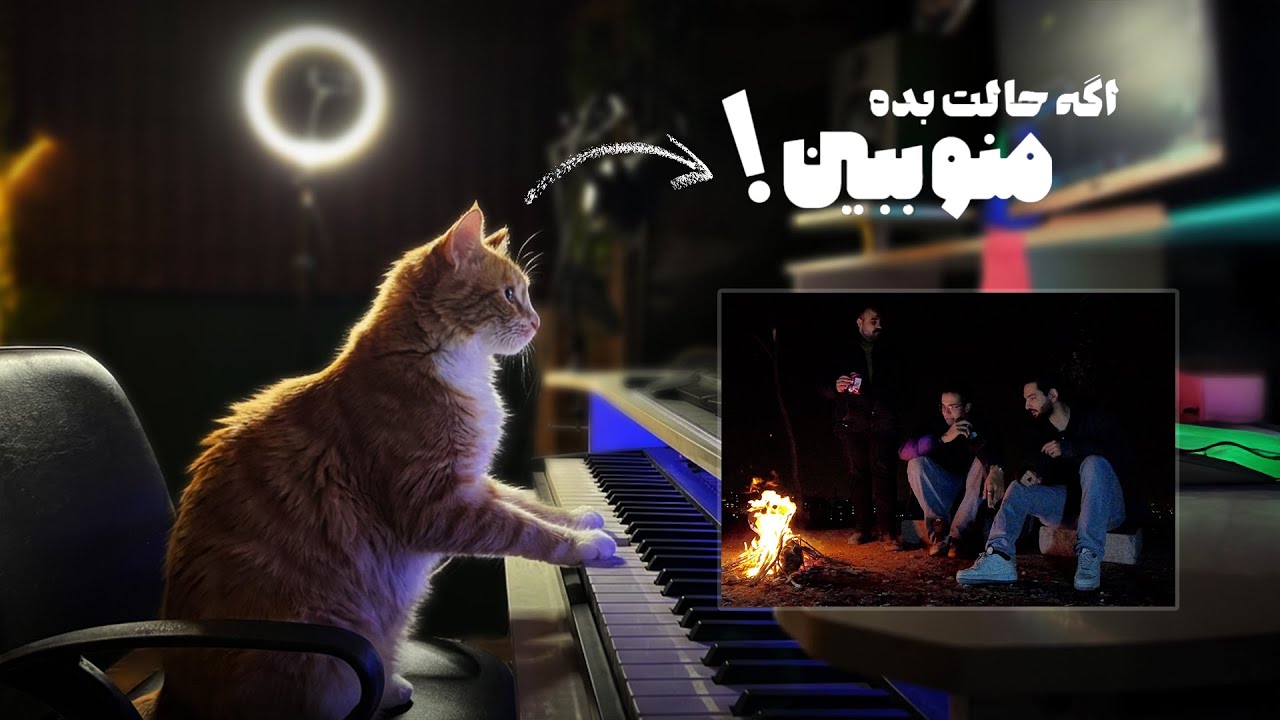 اگه حالت بده این ولاگو ببین.... 🐈  | Vlog #2