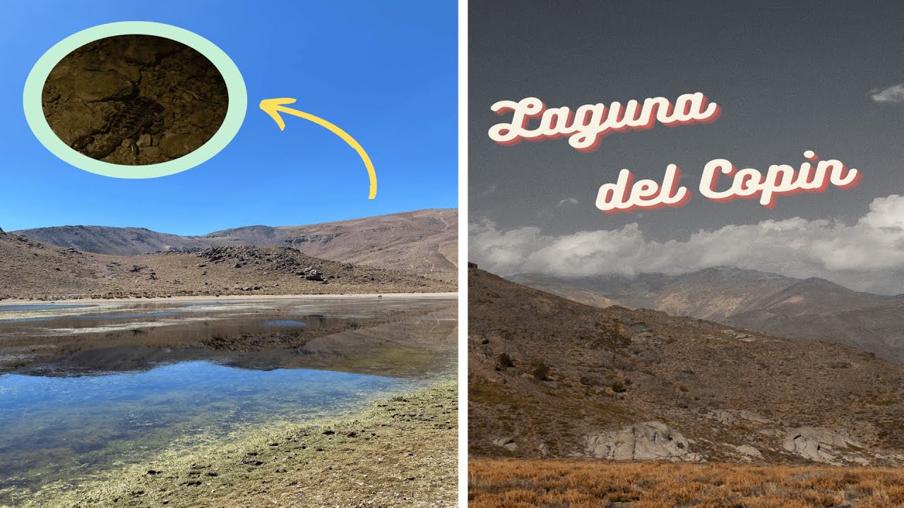 UN rincón ESCONDIDO en los ANDES chilenos | Laguna del Copín con amigos