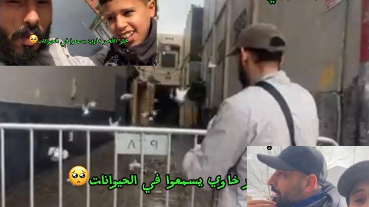 القصر الكبير اخوه ما بقى فيه حتى شي واحد والحيوانات.🥺🥺