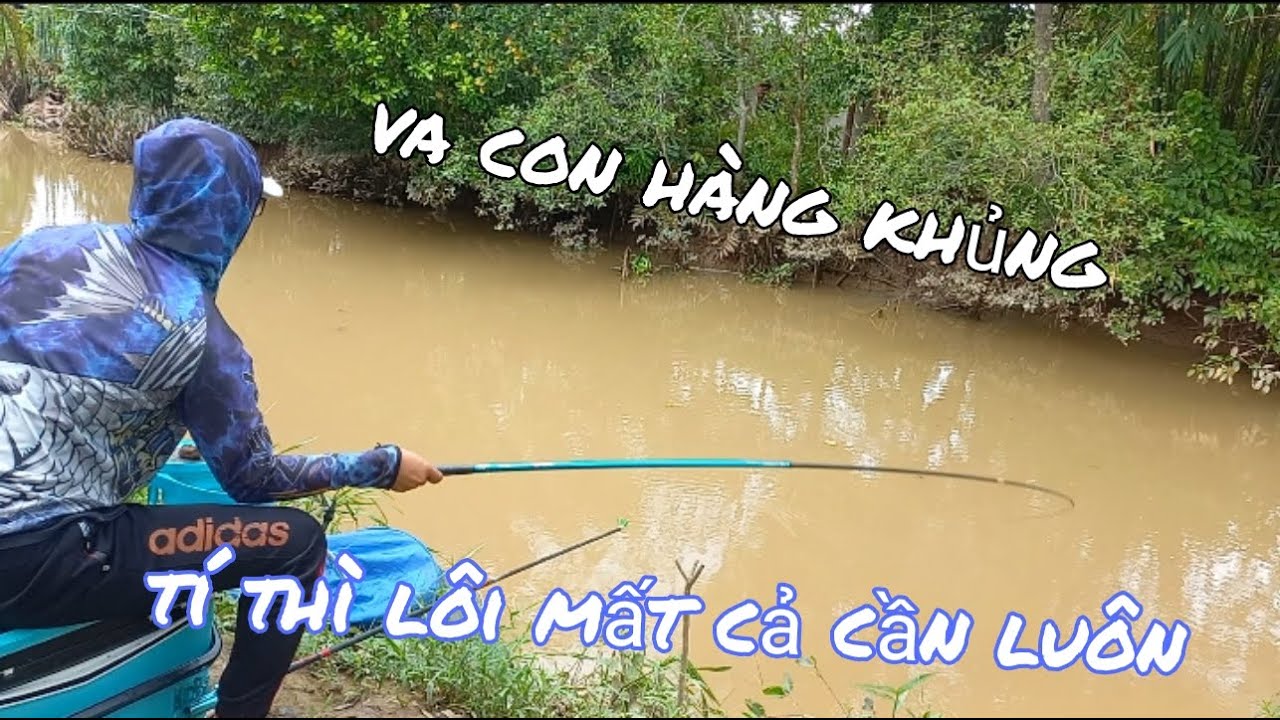 Câu đài tự nhiên, cùng đi kím cá chép ở hôm thời tiết thất thường ✅