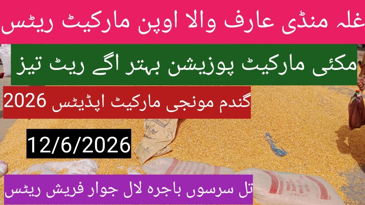 Makki munji ka rate today 2026| Ghalla Mandi Arifwala Punjab