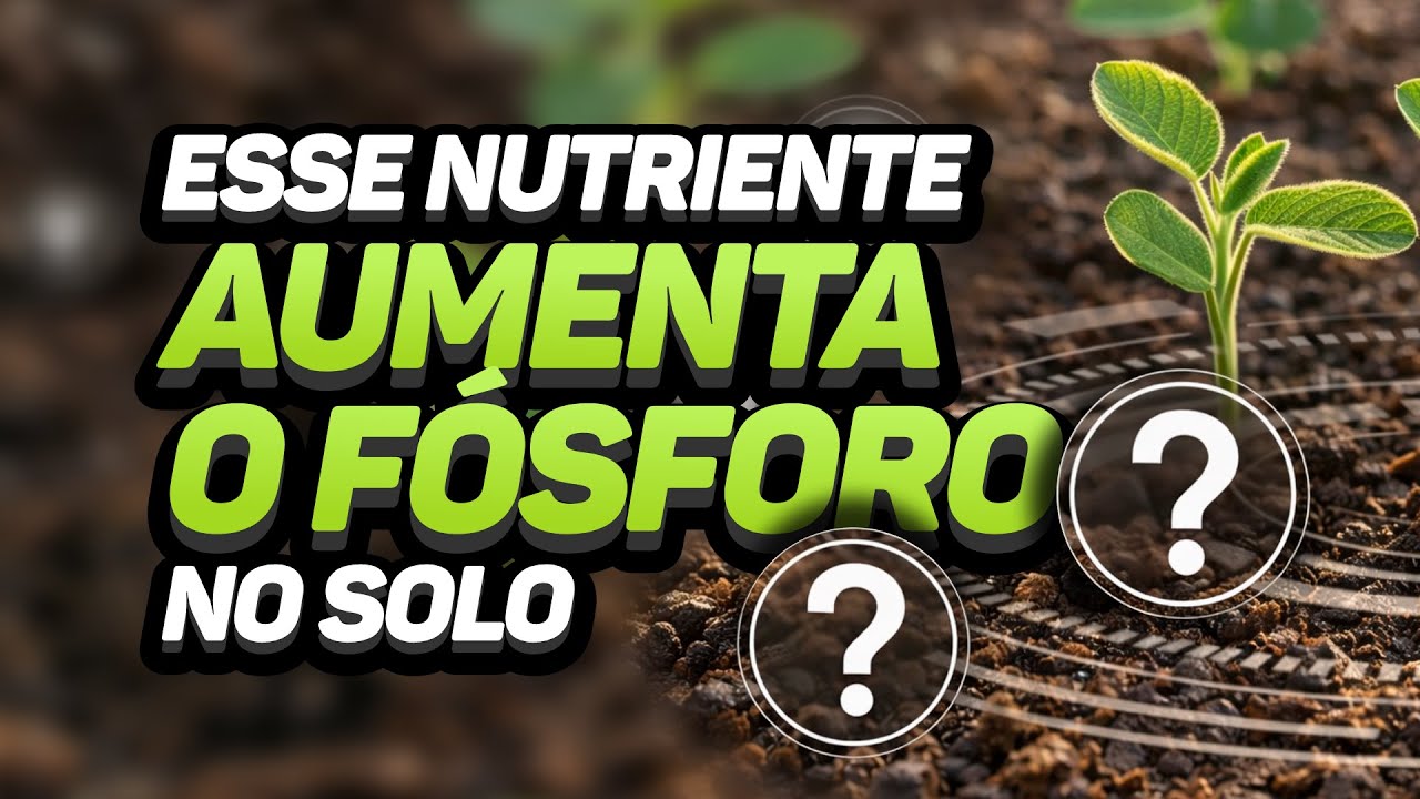 POR QUE A V% BAIXA DIMINUI A DISPONIBILIDADE DE FÓSFORO?