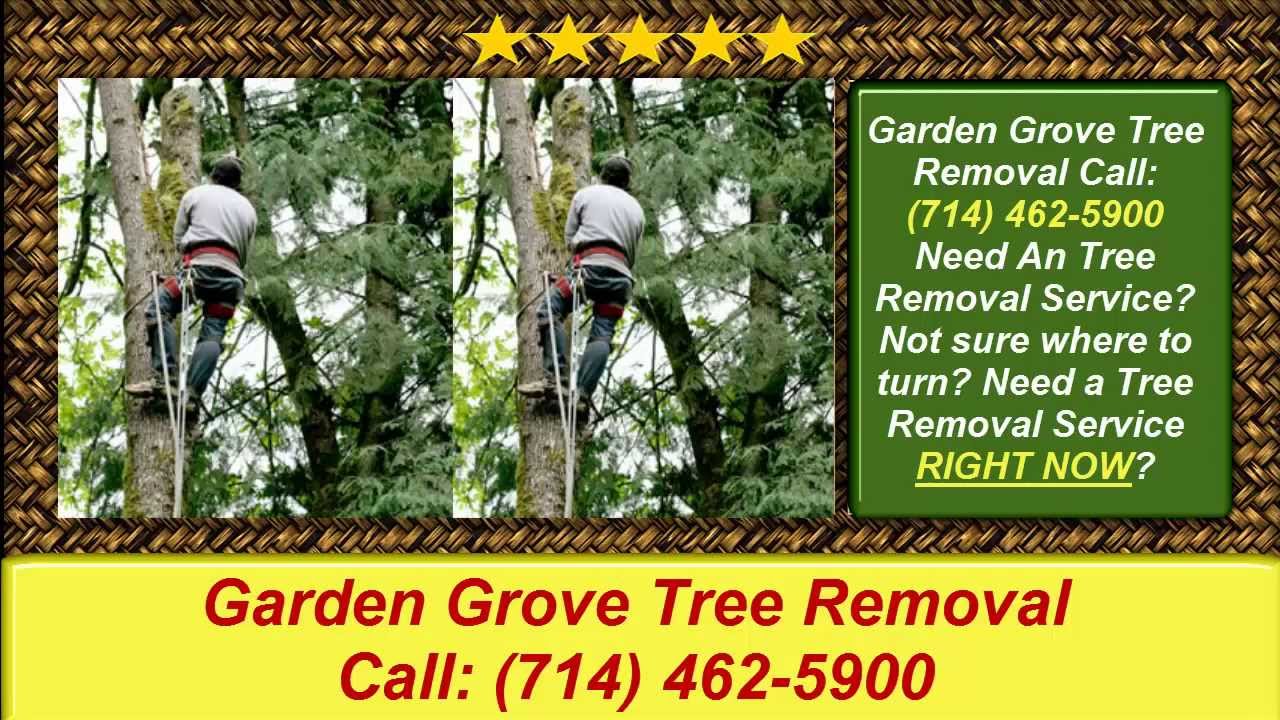 Garden Grove Tree Removal-Best Tree Removal Garden Grove