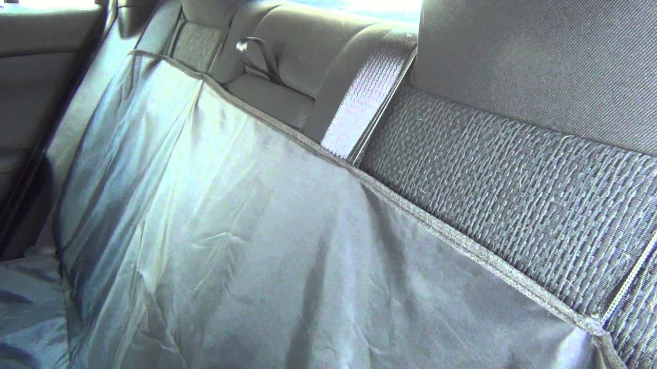 How To Keep Your Pets Cool In Your Vehicle...