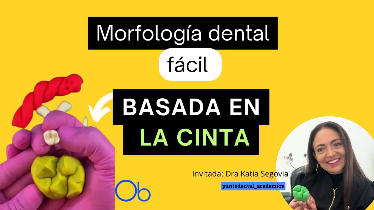 Morfología dental basada en: La Cinta con @PuntoDental_Academics