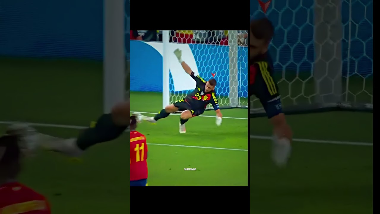 The Spanish wall - UNAI SIMON