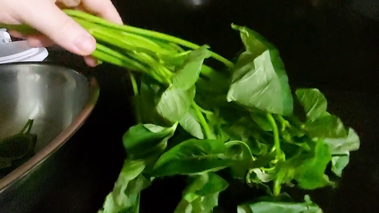 what is kangkong