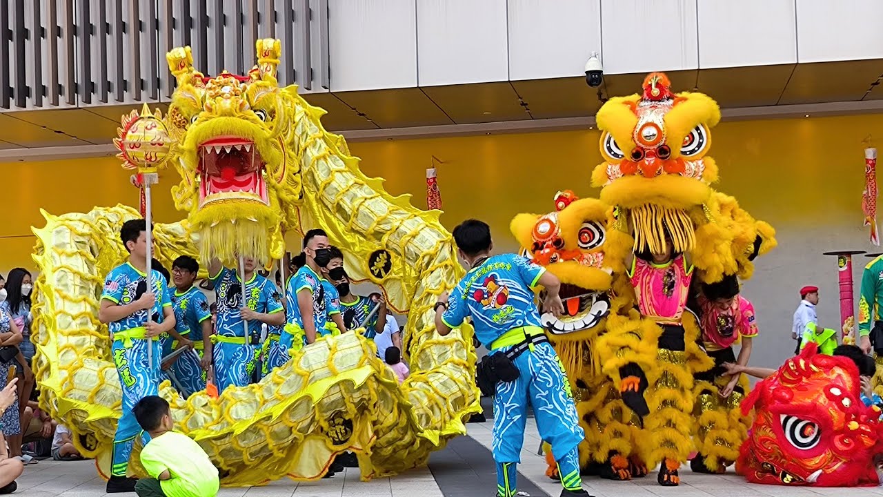 Worldwide Dragon & Lion Dance Day《世界龙狮日》