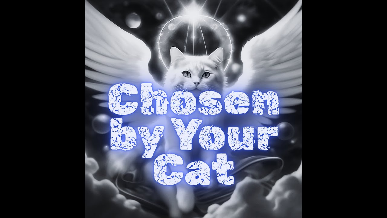 The Hidden Ways Cats Say &lsquo;You Are Mine&rsquo; &mdash; Feline Secrets Revealed