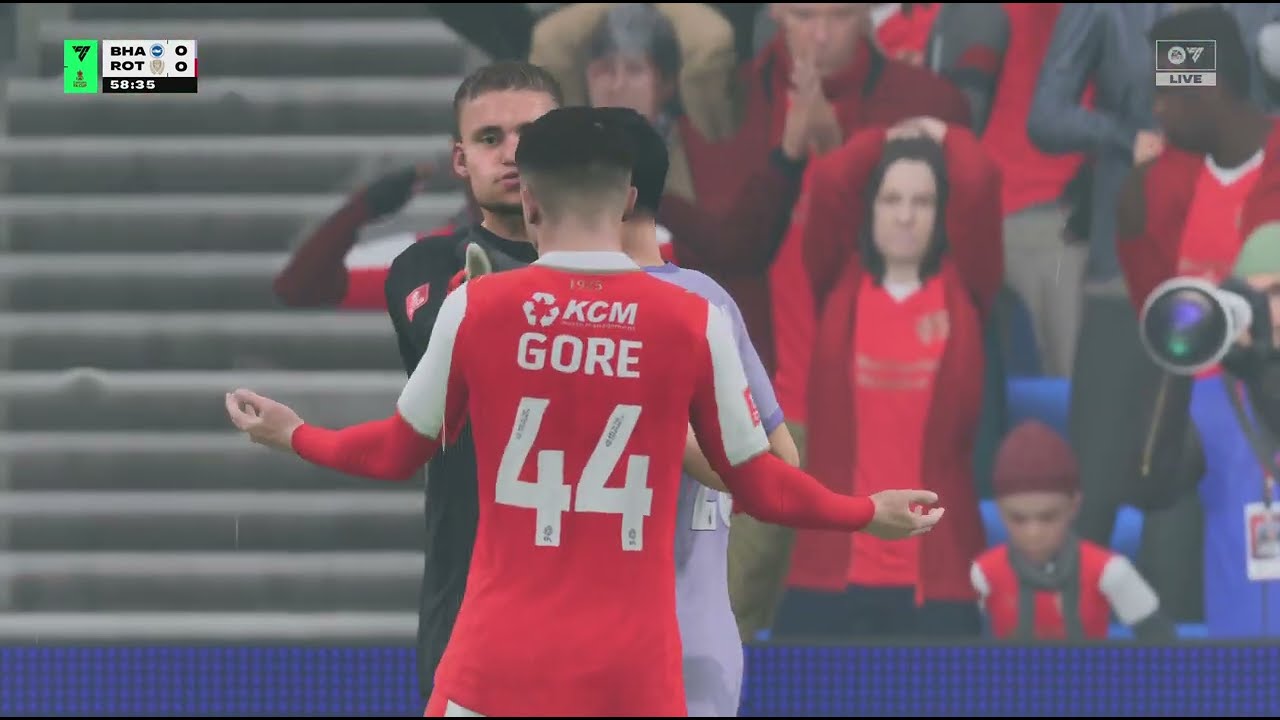 Brighton x Rotherham Utd