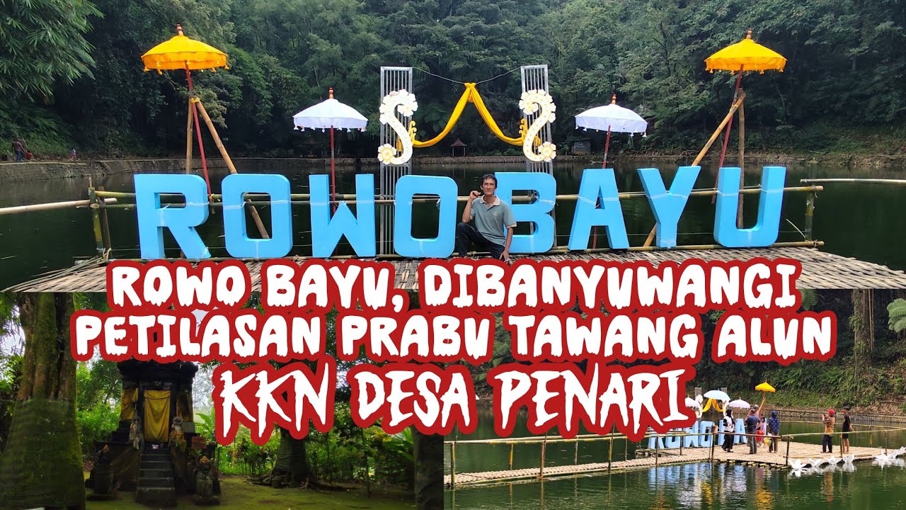CERITAKU, DI ROWO BAYU. KKN DESA PENARI