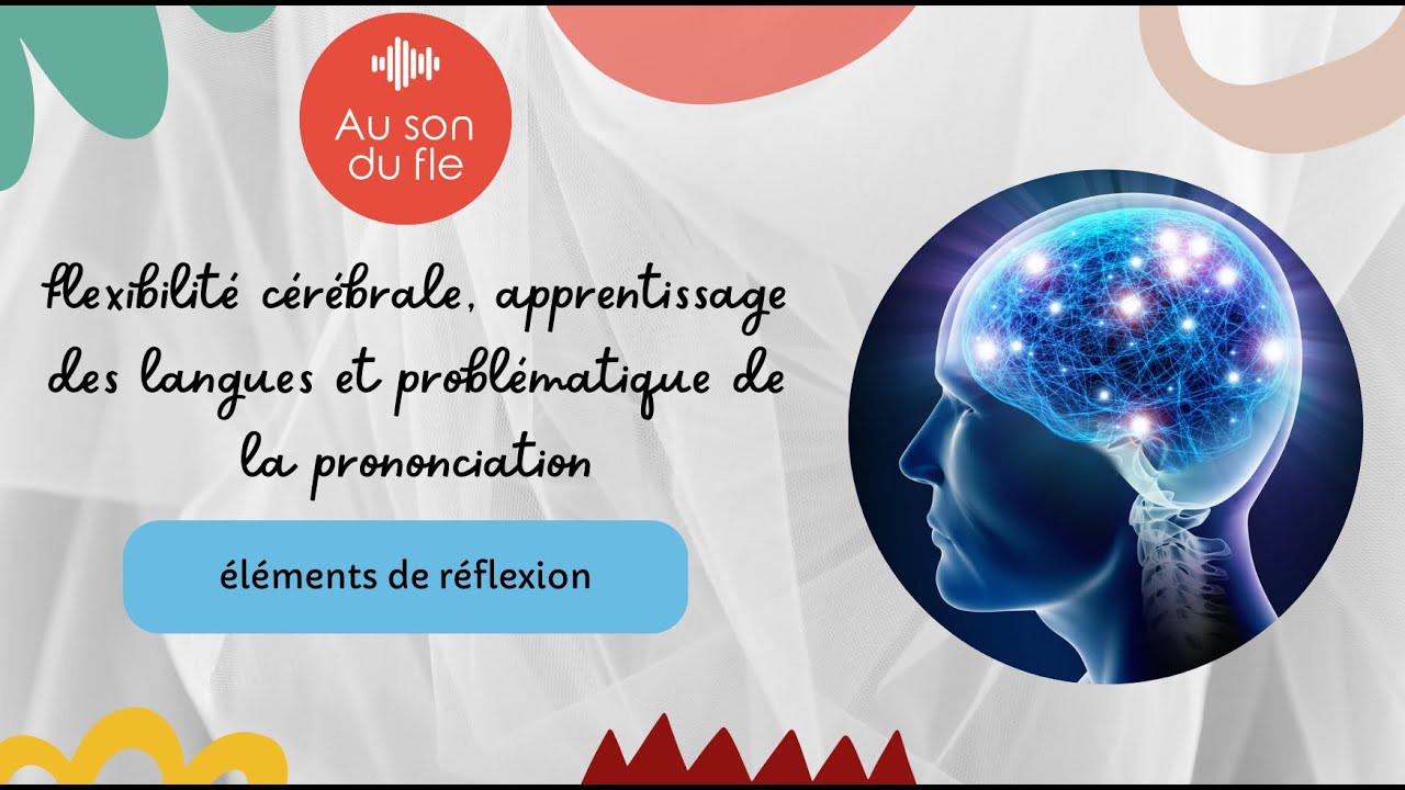 Plasticité cérébrale et apprentissage des langues