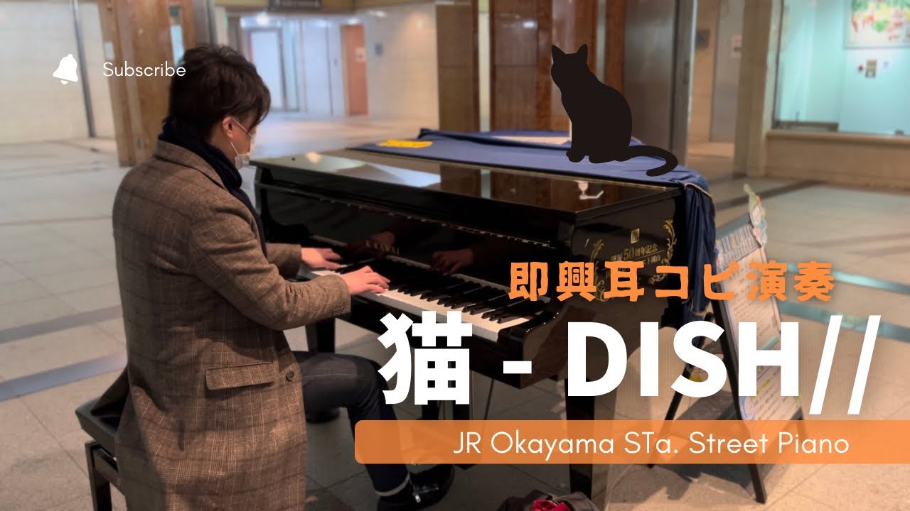 猫 - DISH//  岡山駅ストリートピアノ　即興耳コピ演奏