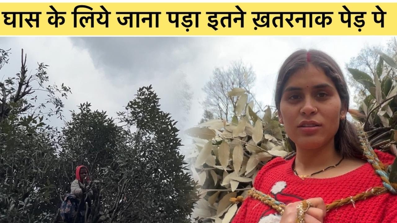देख के ही चक्कर आने लग गया|| Pahadi lifestyle SanjanaBisht 
