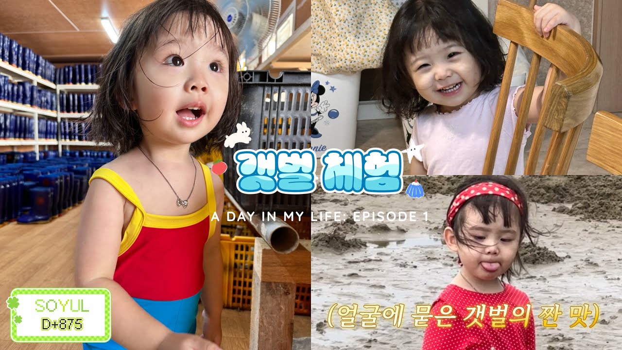 D+875 급 떠난 갯벌체험.ᐟ🐚ㅣ선도리갯벌체험장ㅣ서천ㅣ성장기록ㅣ29개월ㅣ육아브이로그ㅣ