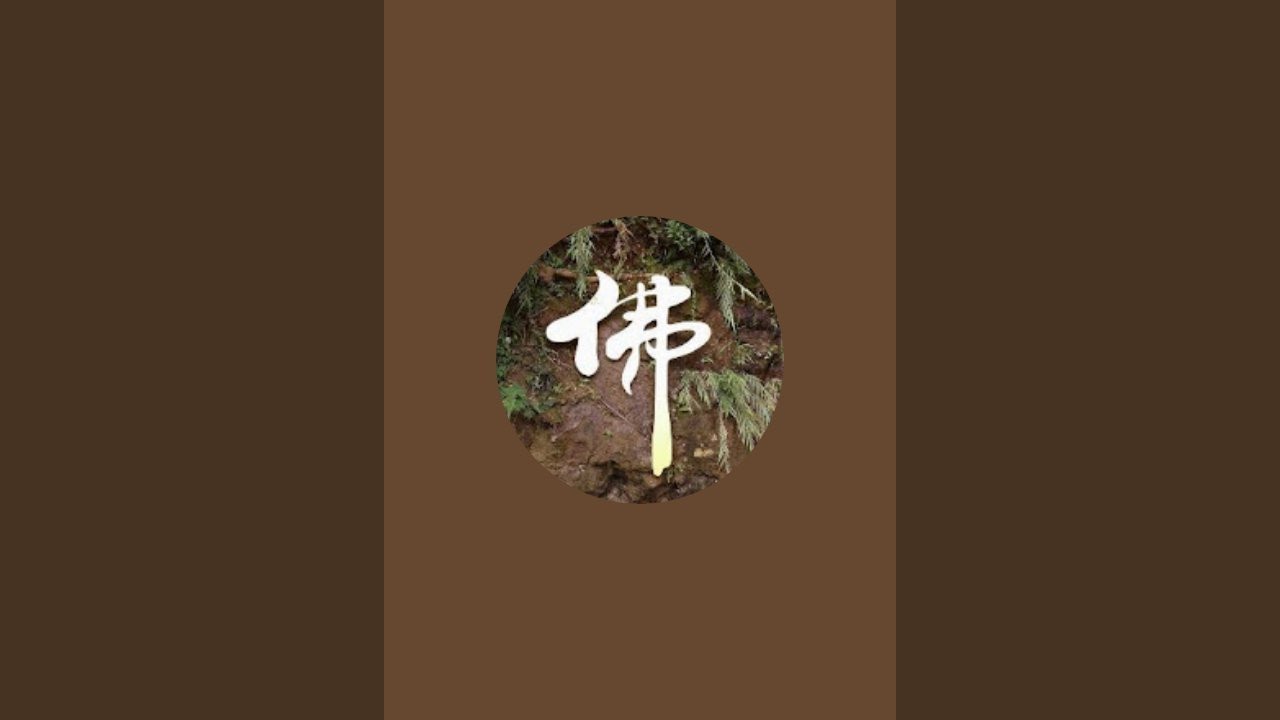 想吃湯包與蒸餃 吃了四籠爽爽的「喝茶聊天」正在直播！