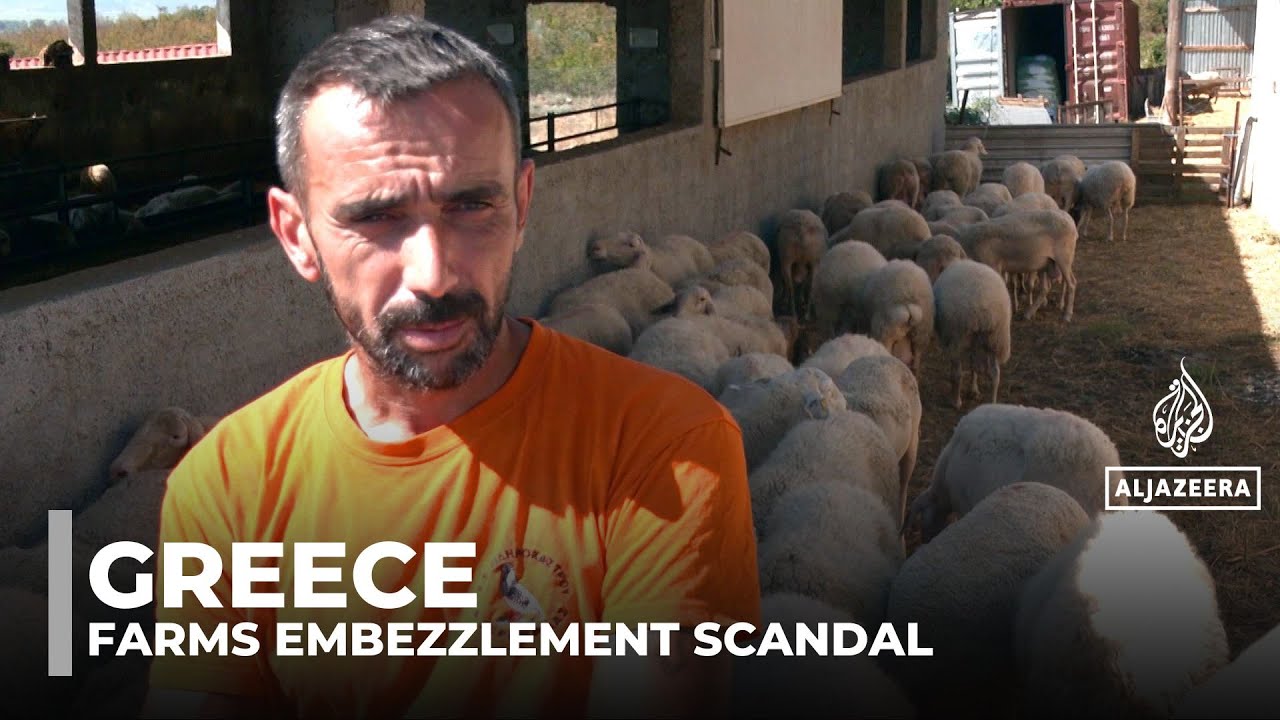 Greek farmers accuse government of complicity in EU subsidy scandal