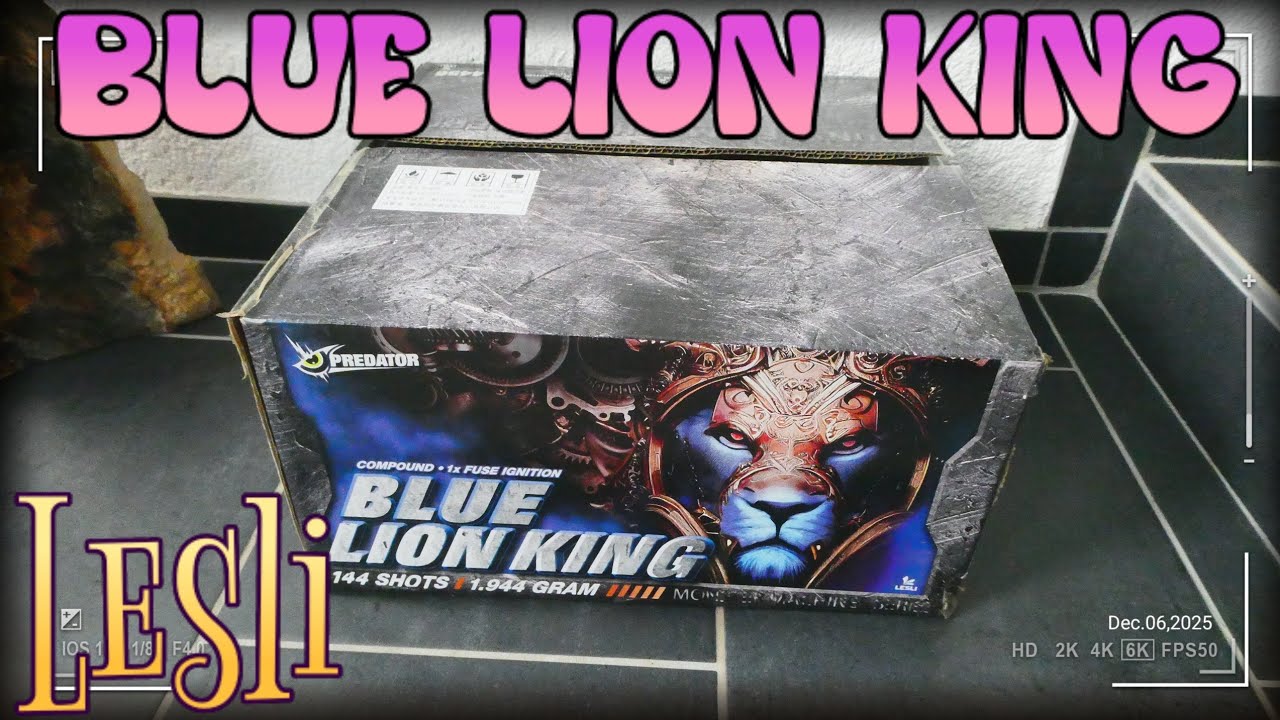 Blue Lion King | Lesli       krasser Verbund       Silvester 2024/2025