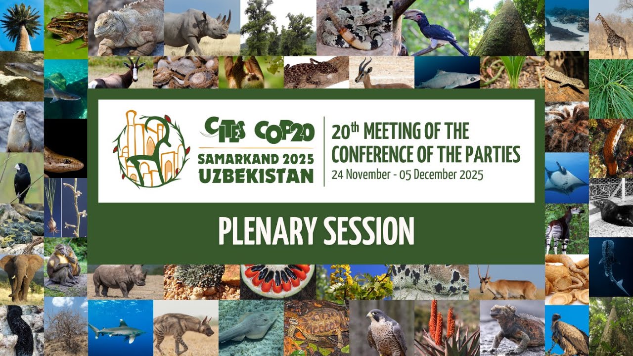 CITES CoP20 Plenary Session (4 December - Morning)