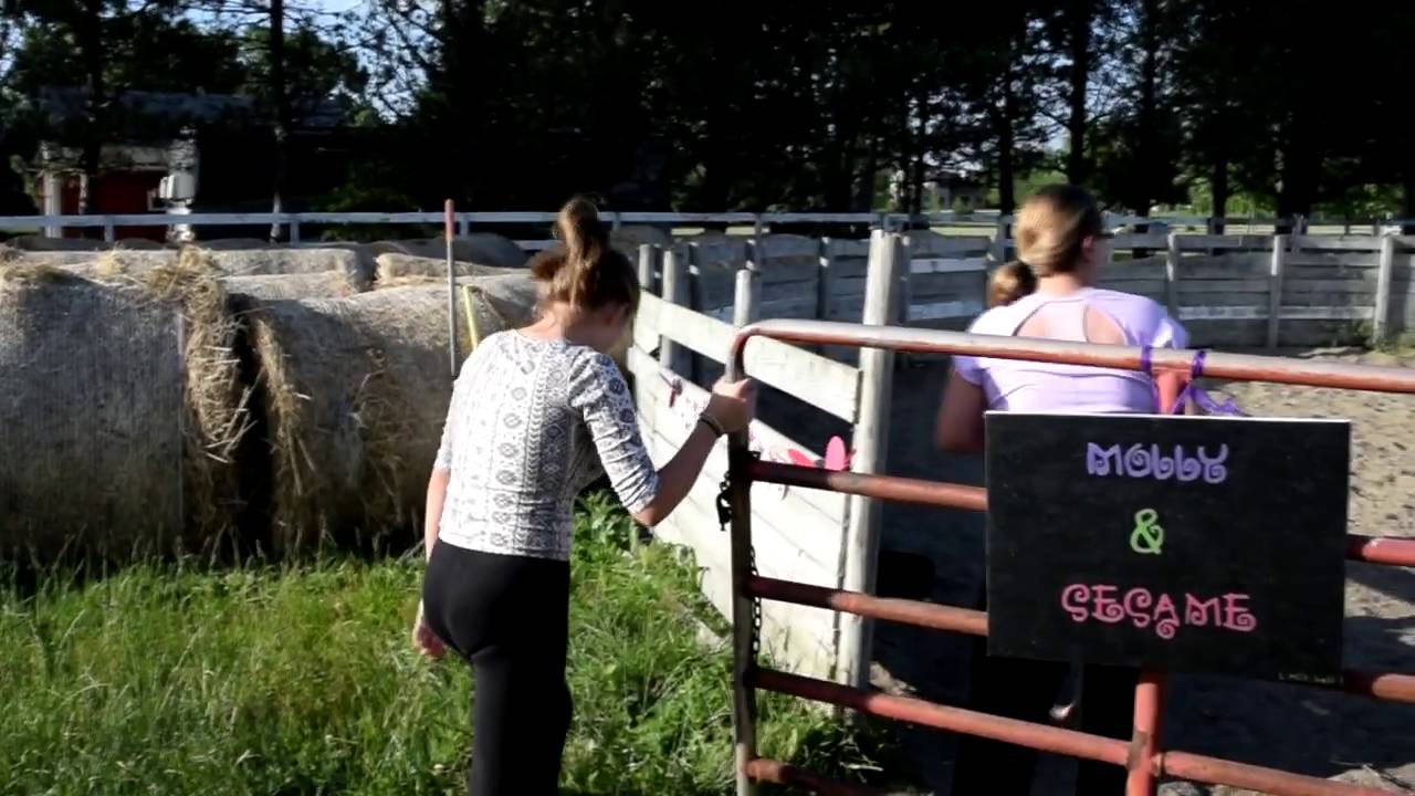 Molly's Birthday Horse Surprise