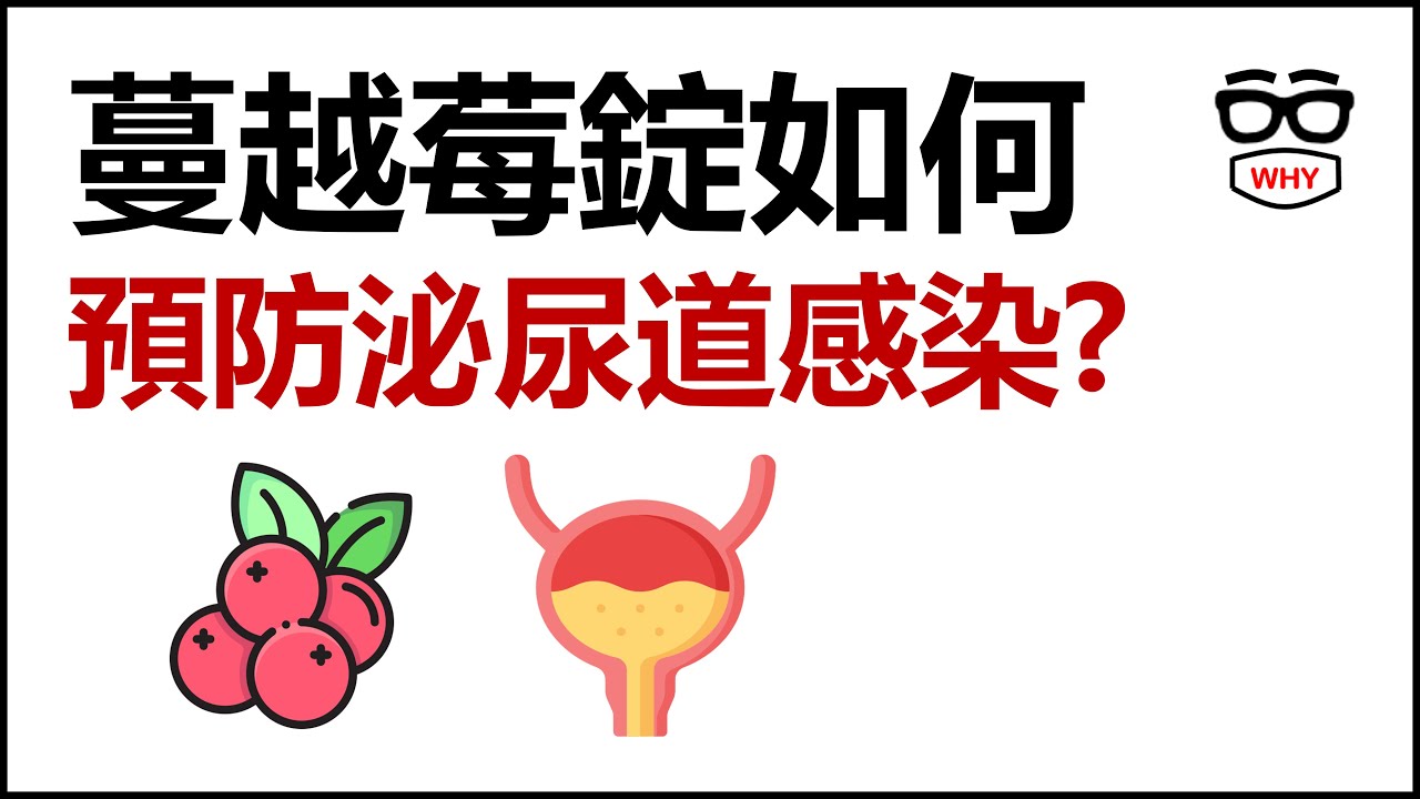 泌尿道感染老是復發？蔓越莓到底有沒有效？專業破解！