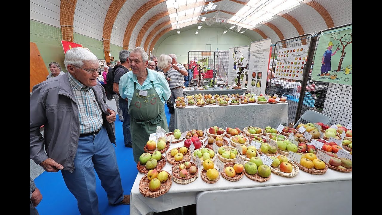 Fête de la pomme de Dompierre-sur-Mer