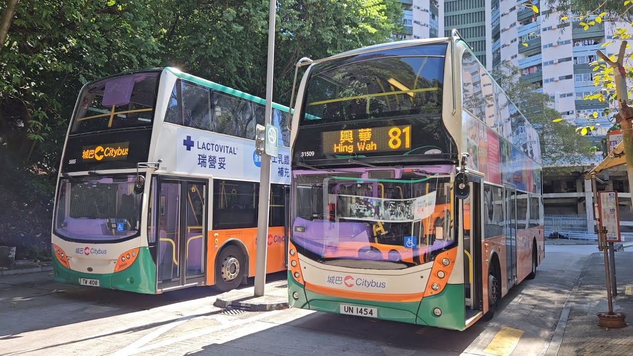 Hong Kong Bus CTB 31509 @ 81 城巴 Alexander Dennis Enviro400 New Facelift 勵德邨 - 興華邨