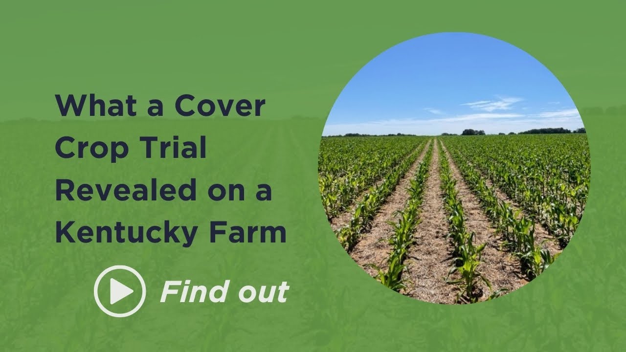 What a Cover Crop Trial Revealed on a Kentucky Farm