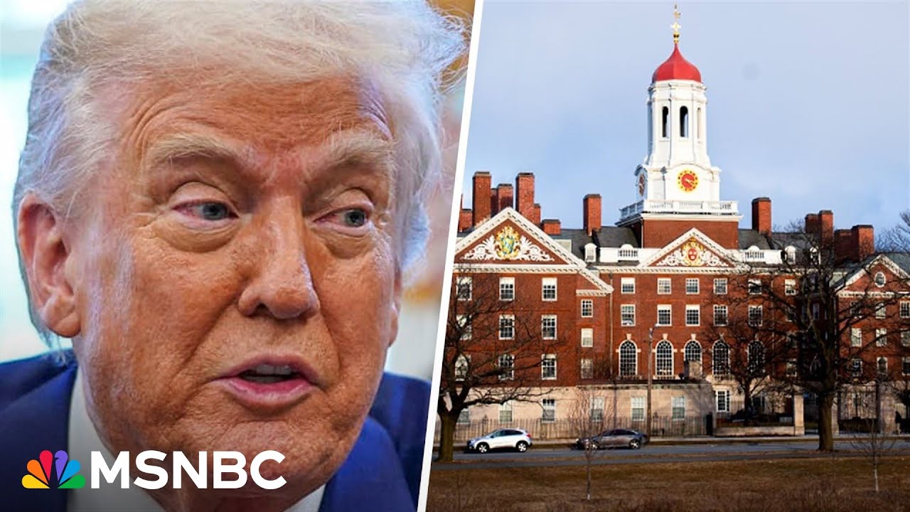 'Immense confusion and fear': Trump admin halts Harvard's ability to enroll international students