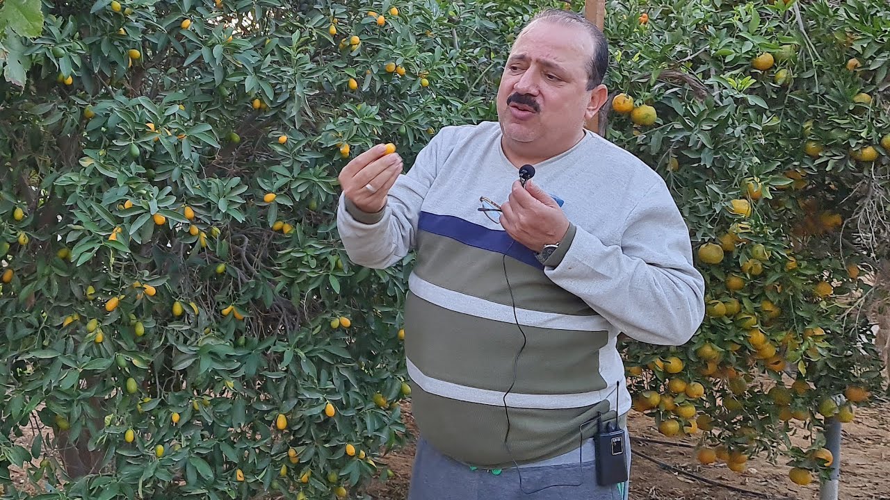 مهندس ابوهاشم المصري حول المكان الذي يعيش فيه الي جنه وينصح الشباب بحاجه مهمه جدا