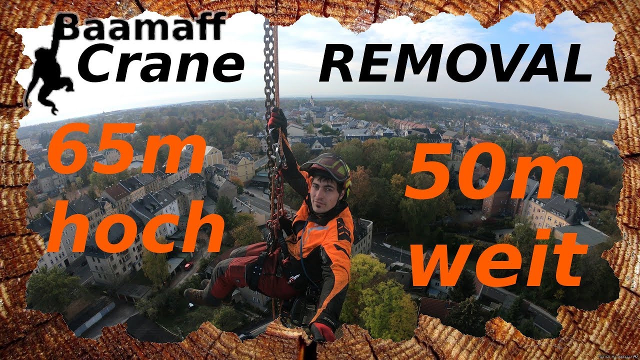 130t CRANE + TREECLIMBER - Spezialfällung mittels Autokran und Seilklettertechnik | Baamaff